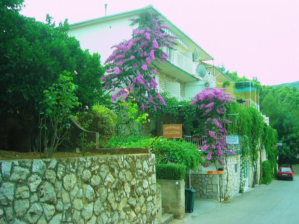 Volga Jelsa (Hvar)